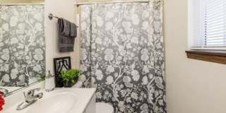 Super cute, 2 story townhome in West Ames Gallery 15