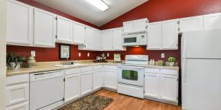 Beautiful 4 Bed, 2 Bath House in SW Fort Collins! Gallery 8