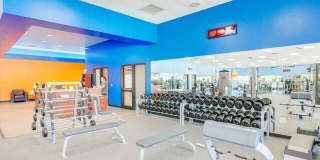 12 Leisure World Gallery 24