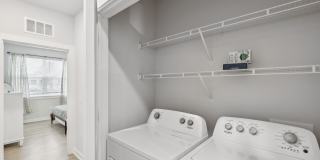 Ascend at Woodlands Gallery 83