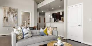 Allure Hermann Park Gallery 65