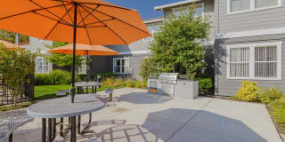 Seville at Mace Ranch Gallery 23