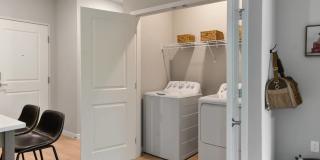 The Aurilla Gallery 12