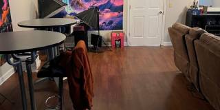 3 Bedroom Single Family Home in Sumter Gallery 29