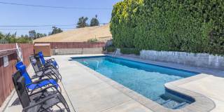 Charming 3 Bedroom 2 Bath home South of the Blvd Gallery 24