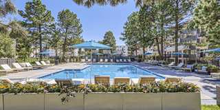 The Avantus Apartments Gallery 18