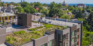 The Chloe Apartments Gallery 19