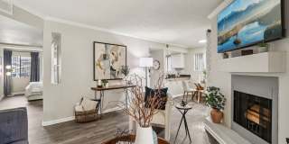 Vetra Chandler Gallery 32