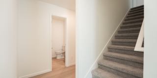 5615 Morant Bay Path Gallery 25