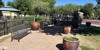 1822 E Chelsea Lane Gallery 27