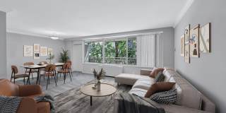 Crystal Plaza Apartments Gallery 51