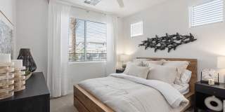 Prose Ascend Gallery 19