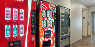 Montgomery Gallery 13