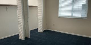 Lakeview Condo Available | Directly Across from Lake Hollingsworth Gallery 17