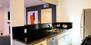 2016 Euclid St Gallery 6