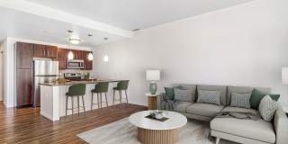 Ovation 309 Gallery 7