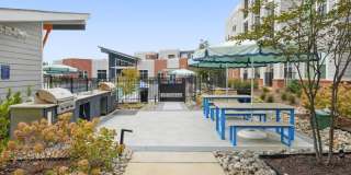 Bluebird on Seventy Gallery 36