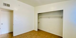 Elvira320 Gallery 31