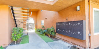 Buena Casa Gallery 19