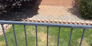Cabezon home for Rent Gallery 21