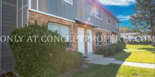 Aspen Valley Gallery 236