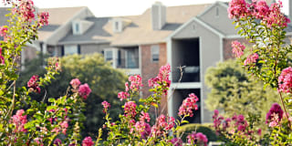 MacArthur Ridge Apartments Gallery 7