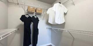 Lexington Palms at the Forum Gallery 15