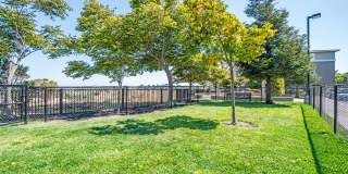 The Tides Apartments Gallery 17