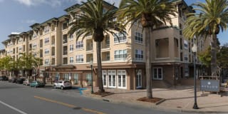 Avalon San Bruno Gallery 39