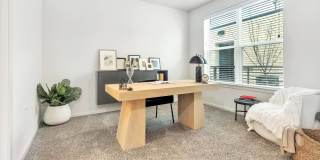 Windsor West Plano Gallery 15