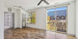 The Jerome Gallery 10