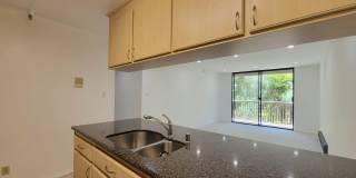 7202 Shelter Creek Ln Gallery 5