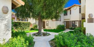 55102 Firestone Gallery 5