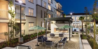Senior Housing- Palmia, Age 55+ Luxury Apartments Gallery 36