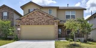822 Brown Thrasher Gallery 1