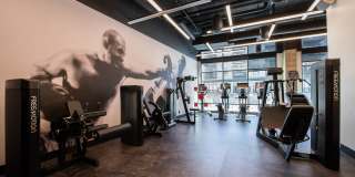 Westminster Row Gallery 26