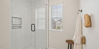 BB Living The Tribute Gallery 23