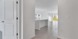 275 PUMA LOOP Gallery 4