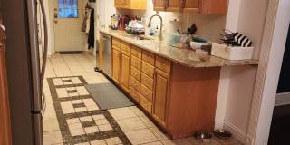 393 Bath Avenue Gallery 17