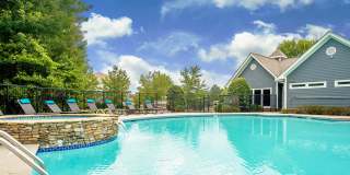 Meadow View Gallery 18