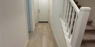 22316 Spanish Oak Court Gallery 28