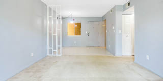 209 West Miracle Strip Parkway - 1Unit H302 209 West Miracle Strip Parkway - 1Unit H302 Gallery 22