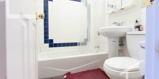 43 Egremont Rd #5E Boston MA 02135 Gallery 7