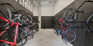 Analog PDX Gallery 19