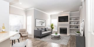 Carrara at Cole Gallery 8