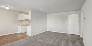 Swift at Riverdale Park Gallery 41