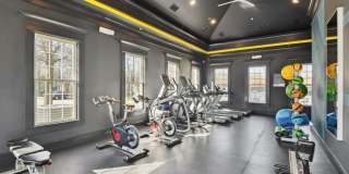 Alvista Bowie Gallery 24