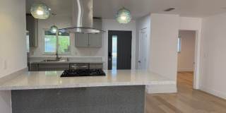 Fully Remodeled 3 Bedroom/ 2 Bathroom Duplex w/ Modern Finishes & Private Yard! Gallery 5
