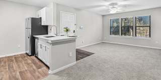 Sabal Palm at Lake Buena Vista Gallery 9