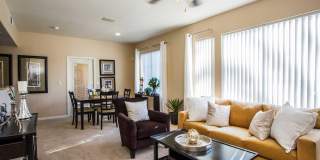 Boulders at Lone Mountain Gallery 17